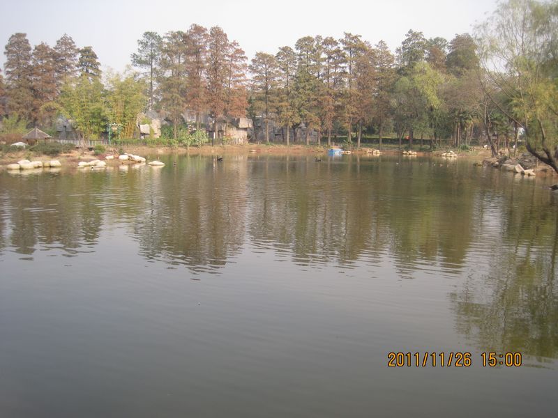 img_0090.jpg