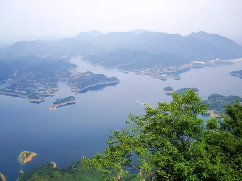 dsc01756.jpg
