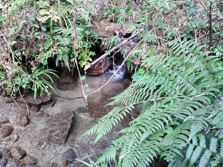 img_20111127_125145.jpg