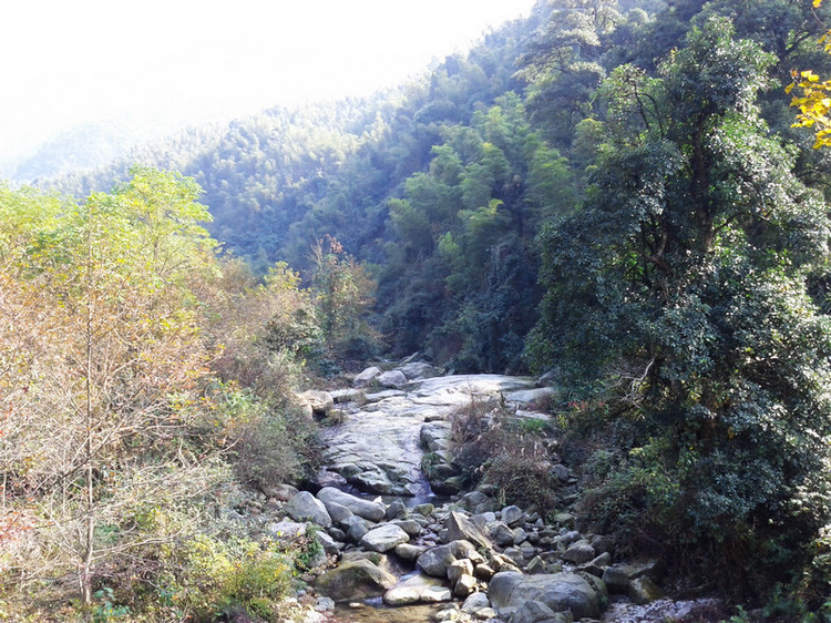 img_20111127_132742.jpg