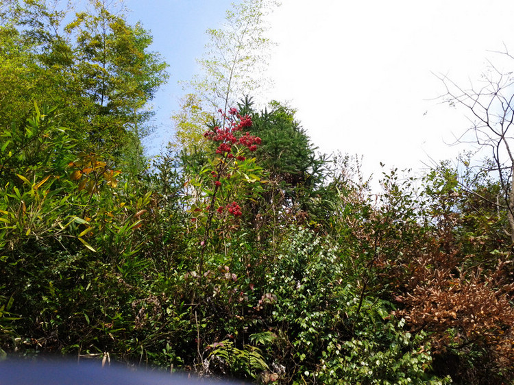 img_20111127_134602.jpg