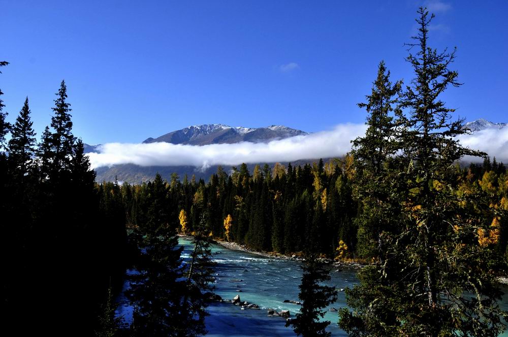 _dsc0331_conew1.jpg