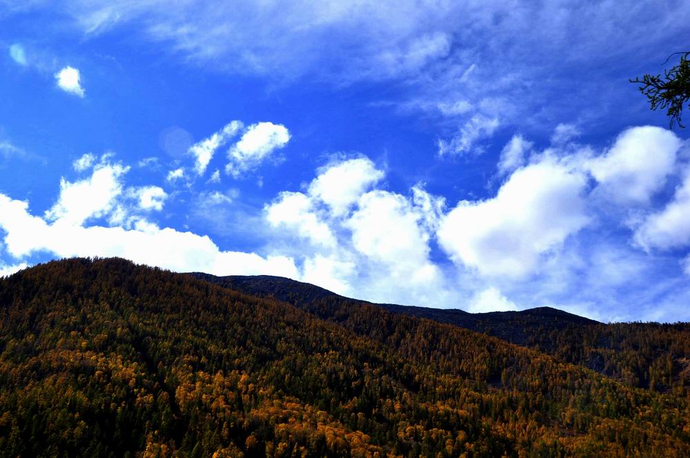 _dsc0415_conew1.jpg