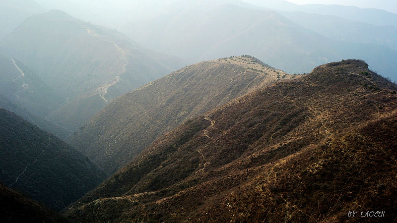 l1016246.jpg