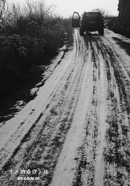 l1016257.jpg
