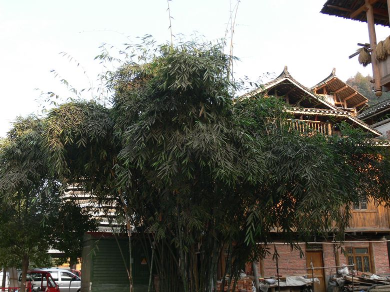 p1120240.jpg