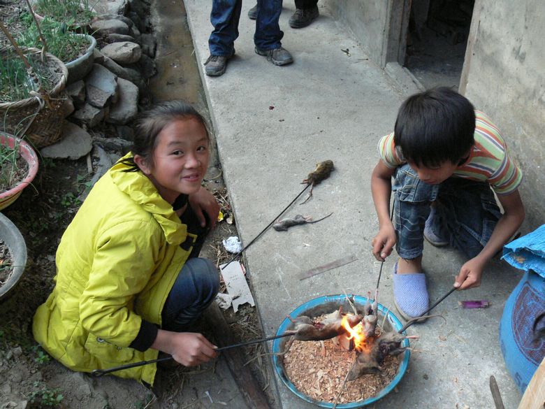 p1120252.jpg