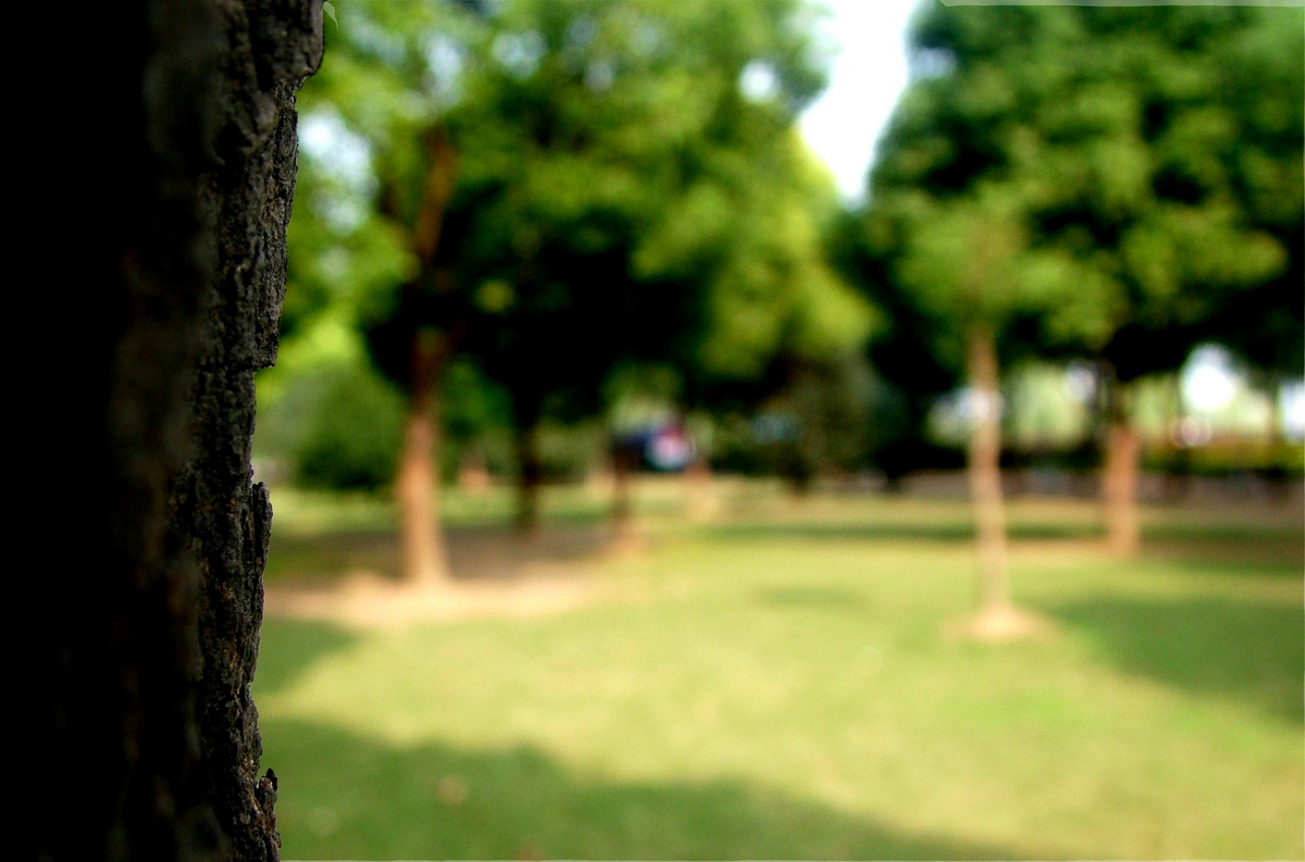 dscf1747.jpg