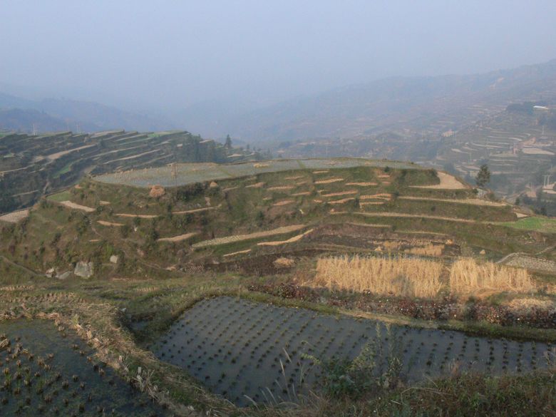 p1120286.jpg