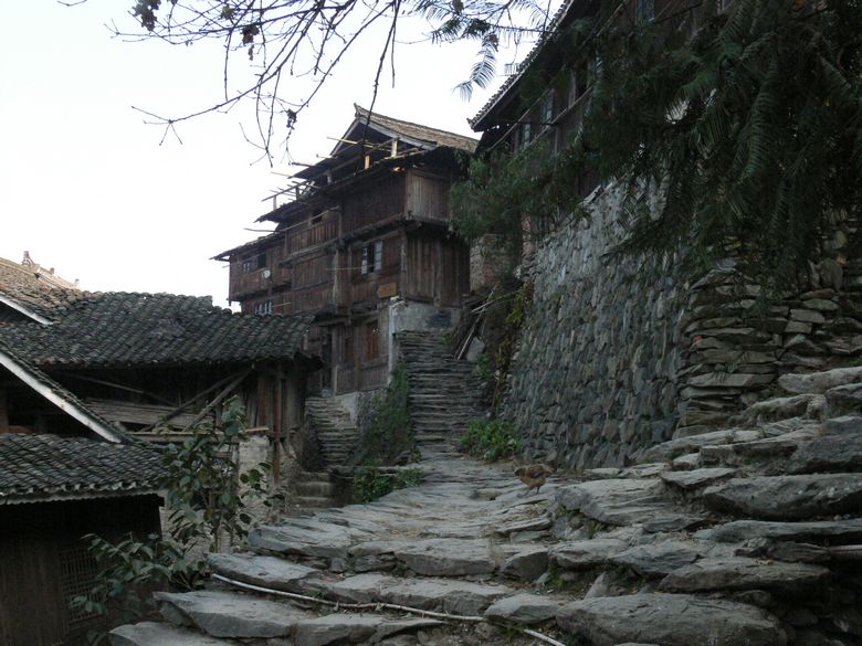 p1120313.jpg