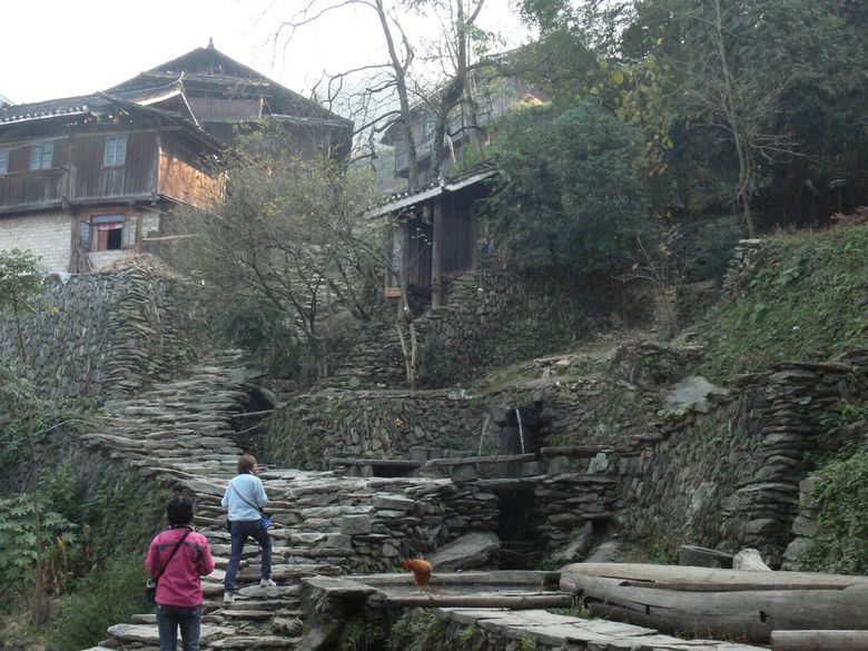 p1120304.jpg