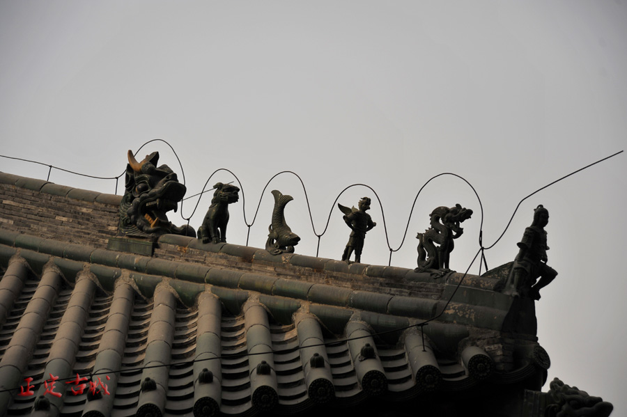 dxh_9369.jpg