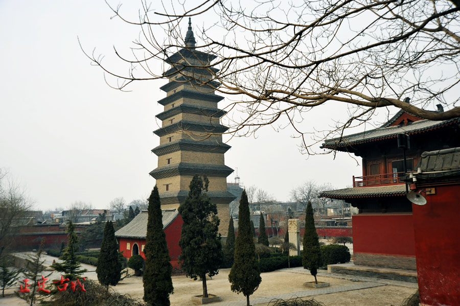 dxh_9416.jpg