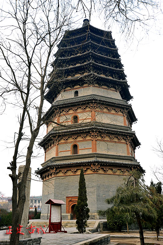 dxh_9462.jpg