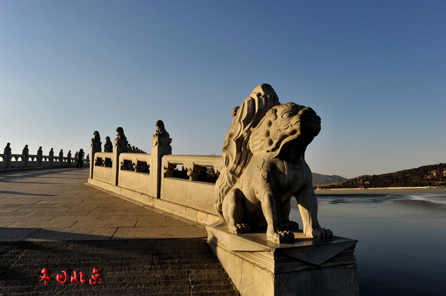 dxh_9006.jpg