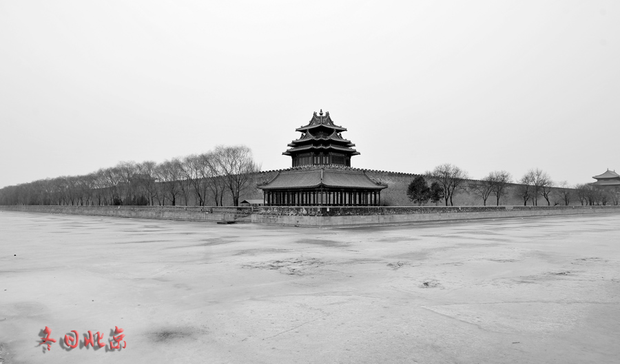 dxh_9579.jpg