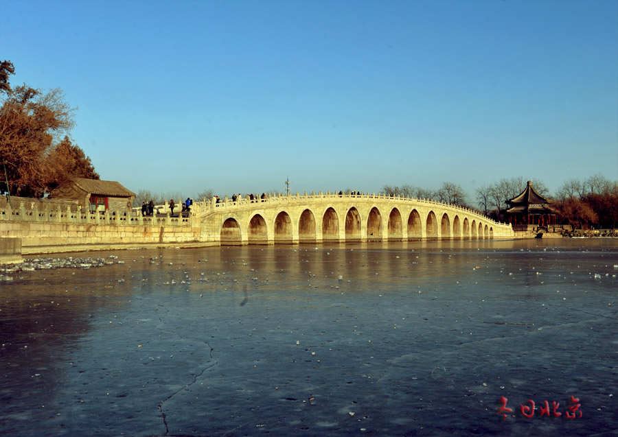 dxh_9036.jpg