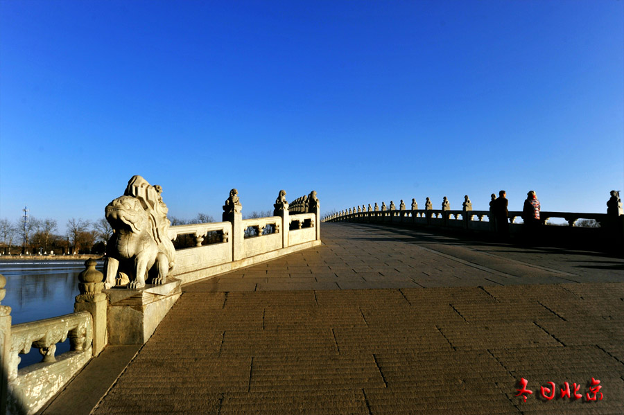 dxh_9025.jpg
