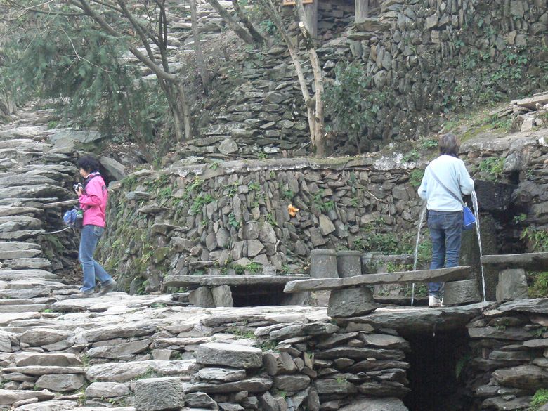 p1120305.jpg