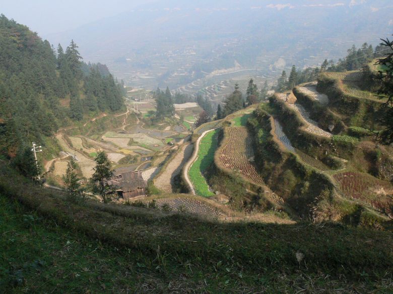 p1120331.jpg