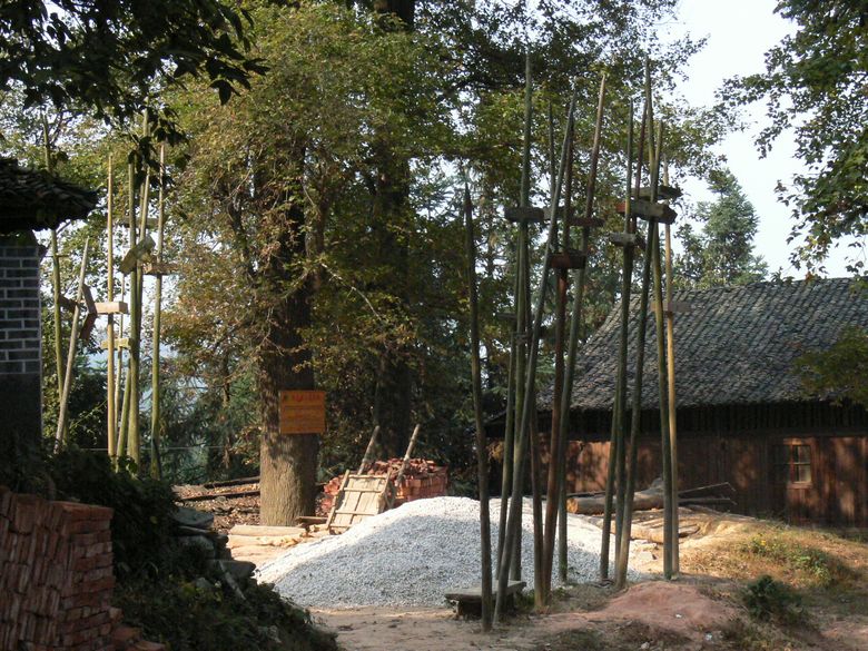 p1120353.jpg