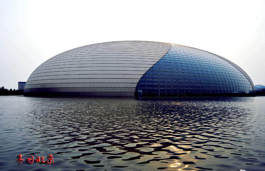 dxh_9619.jpg