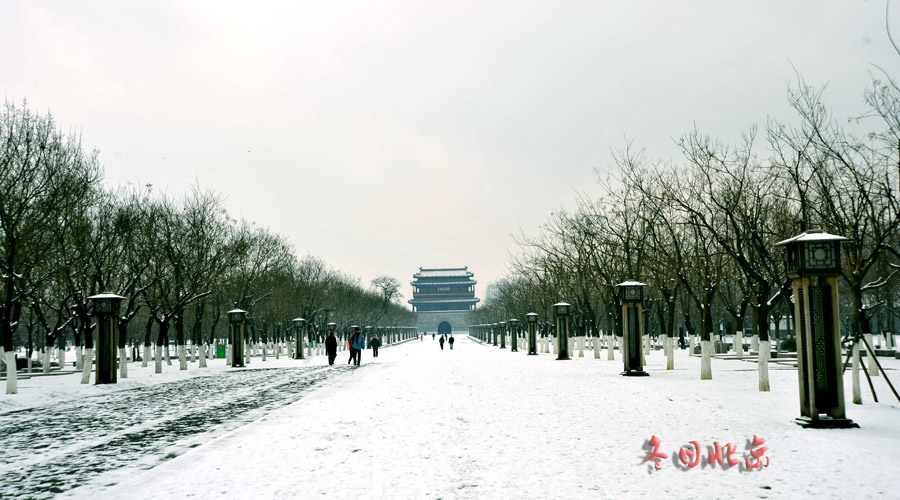 dxh_9628.jpg