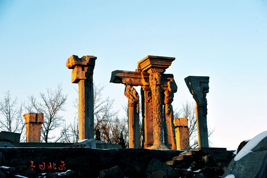 dxh_9875.jpg