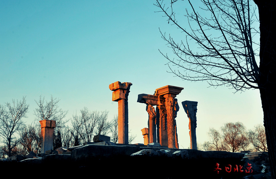 dxh_9880.jpg