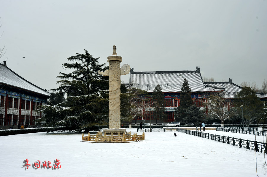 dxh_9725.jpg