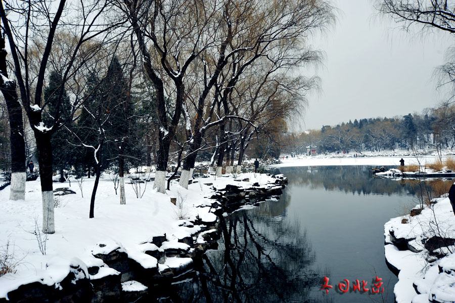 dxh_9722.jpg