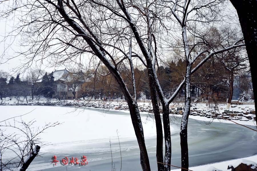dxh_9693.jpg