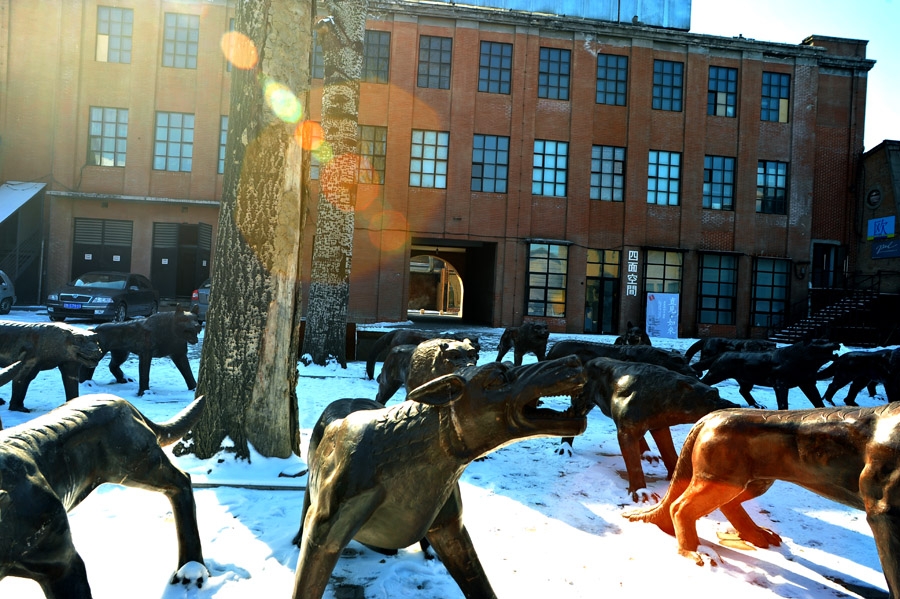 dxh_9805.jpg