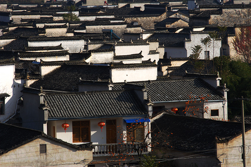 20101120_9999_133.jpg