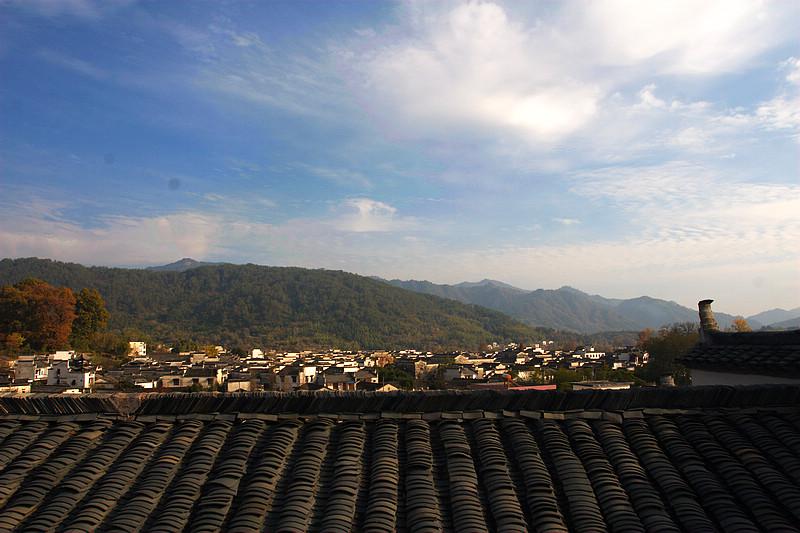 20101120_9999_134.jpg