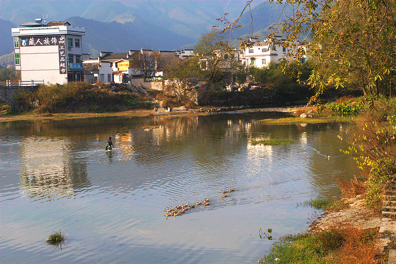20101120_9999_136.jpg