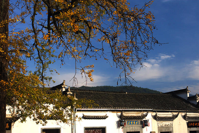 20101120_9999_138.jpg