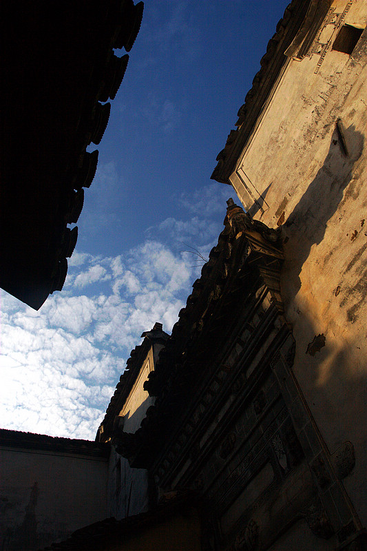 20101120_9999_167.jpg