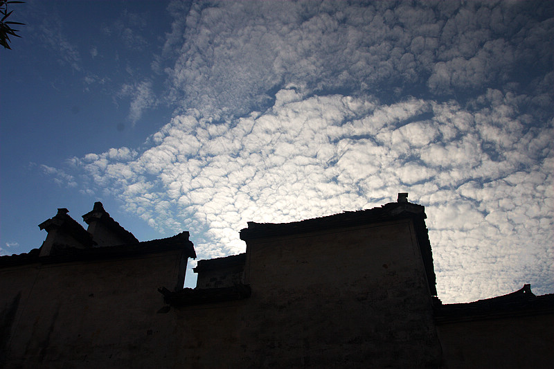 20101120_9999_169.jpg
