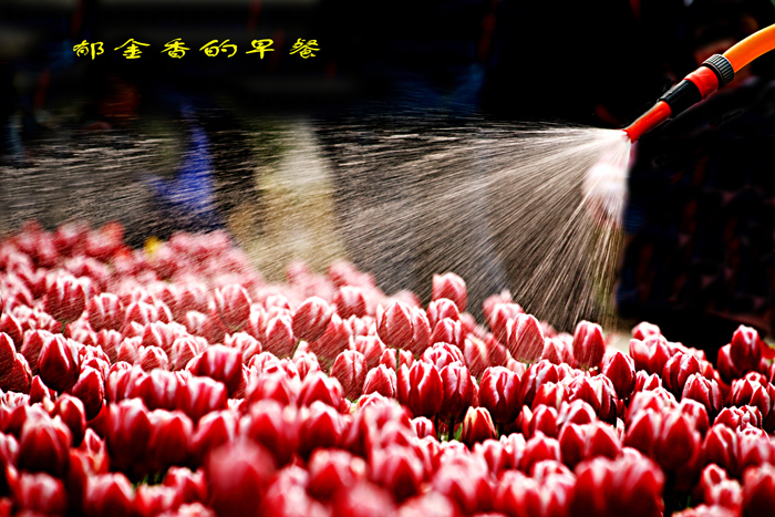 Ƭ 056.jpg