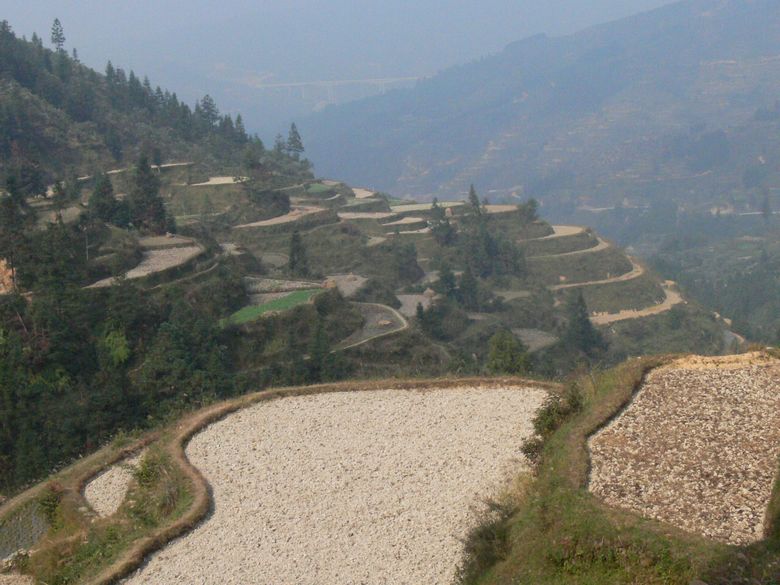 p1120356.jpg