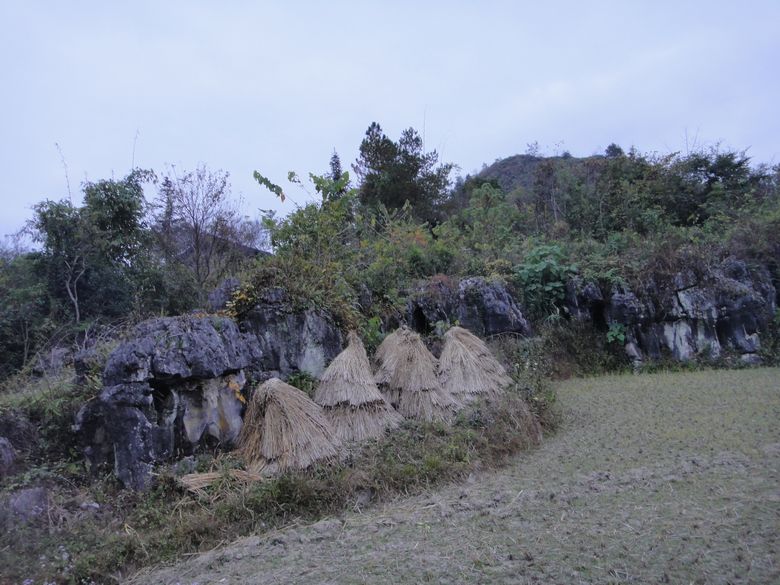 dsc02813.jpg