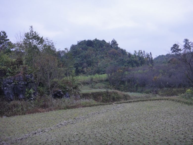 dsc02815.jpg