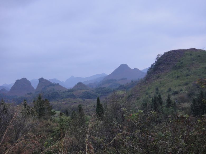 dsc02821.jpg