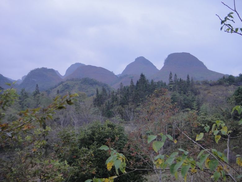 dsc02823.jpg