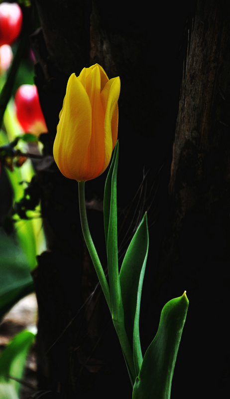 dsc_0801_.jpg