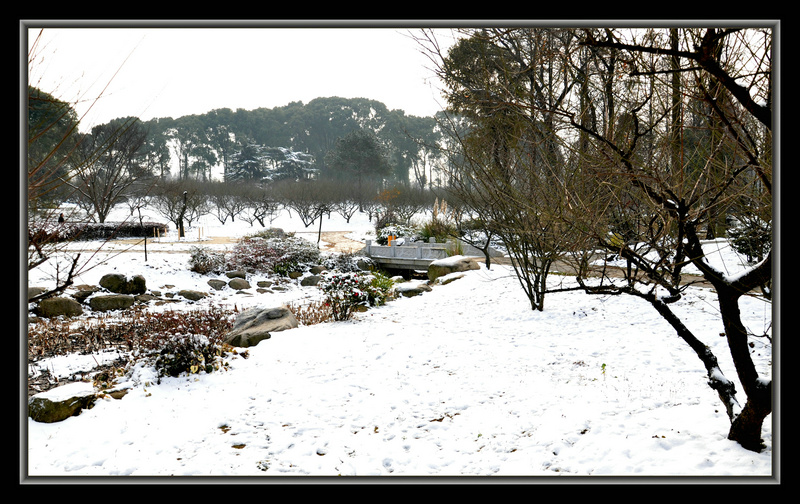 dsc_1117.jpg