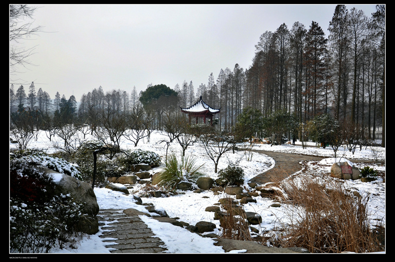 dsc_1191.jpg