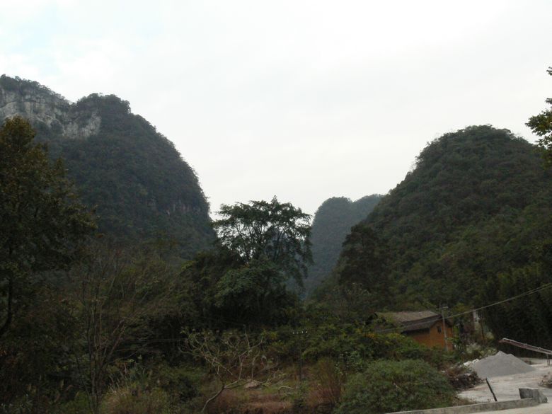 p1120382.jpg