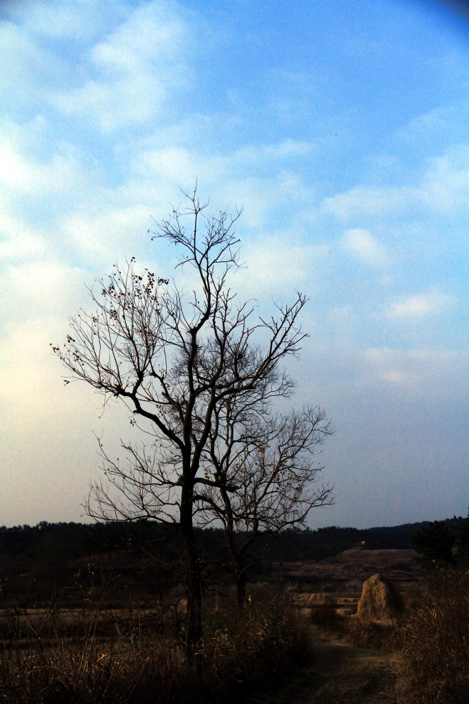 img_2803.jpg